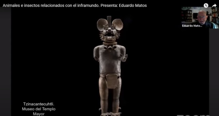 Analiza Eduardo Matos la presencia de animales e insectos en el inframundo mesoamericano